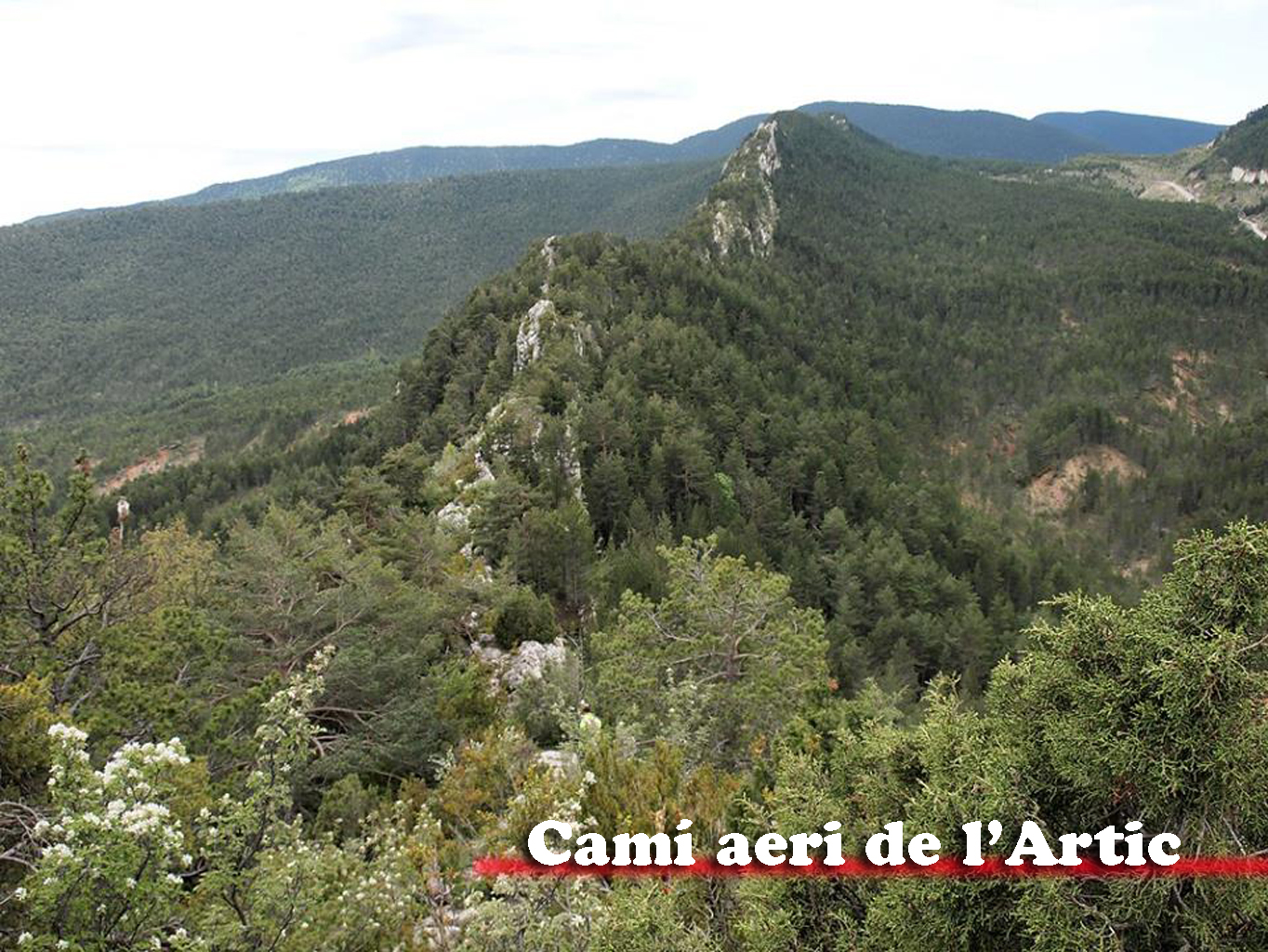 Camí aeri de l’àrtic 13-05-2023